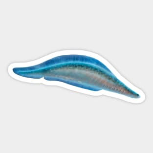 Haikouichthys from Cambrian, original artwork Sticker